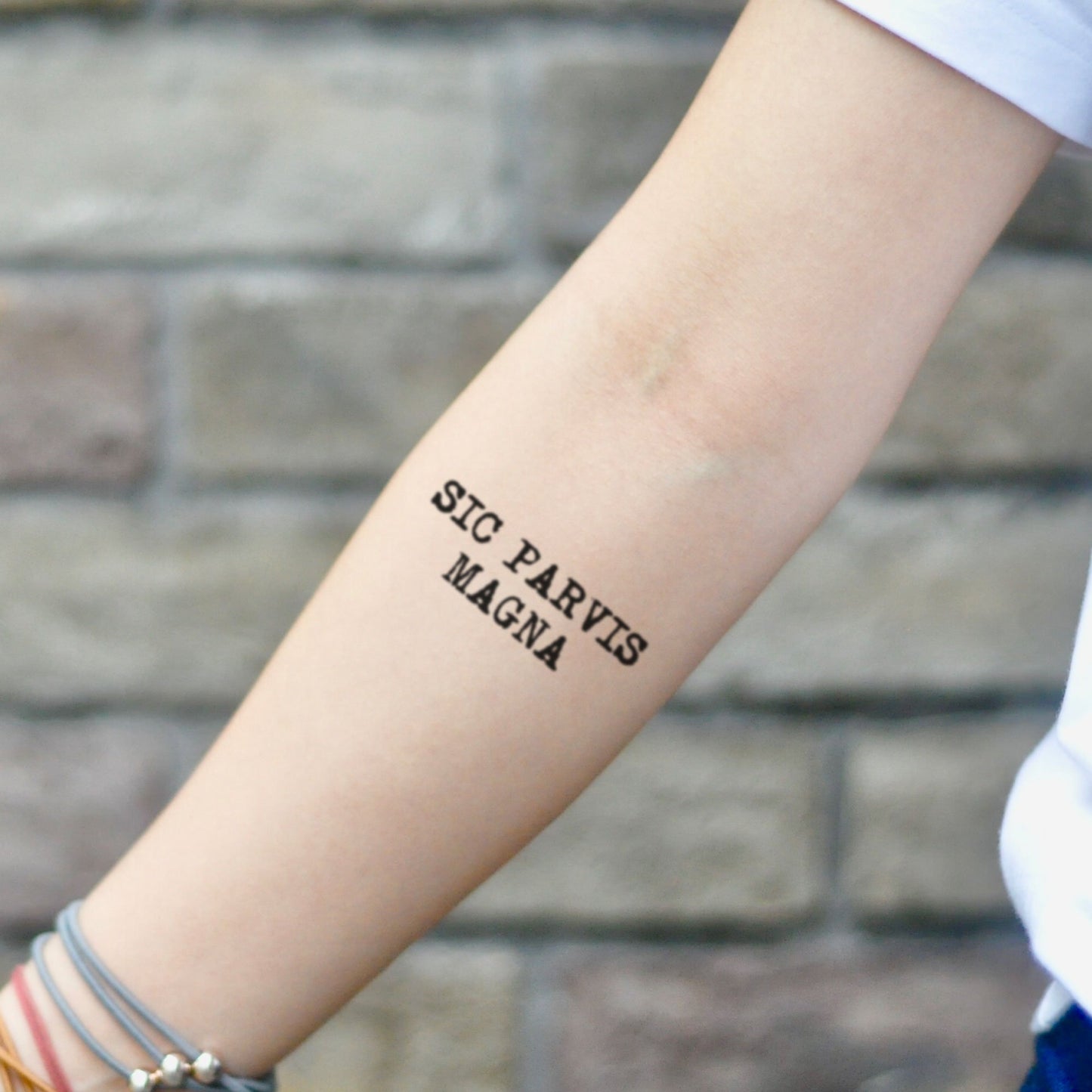 fake small sic parvis magna latin lettering temporary tattoo sticker design idea on inner arm