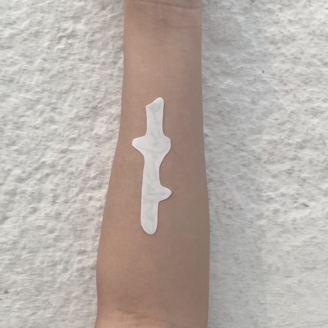 fake small carpe diem seize the day lettering temporary tattoo sticker design idea on forearm