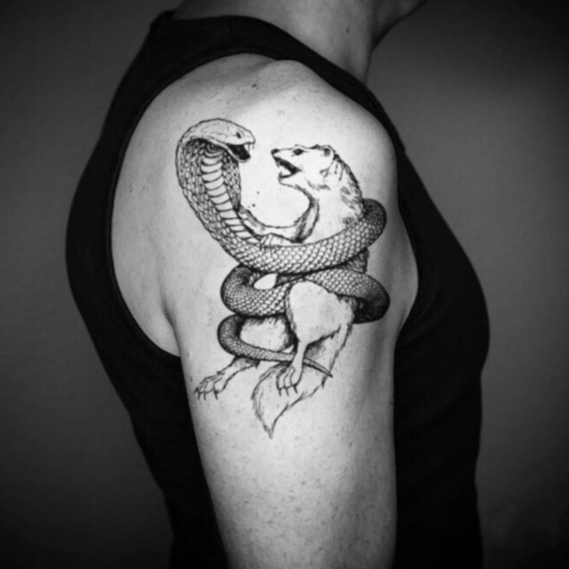 fake big mongoose animal temporary tattoo sticker design idea on upper arm