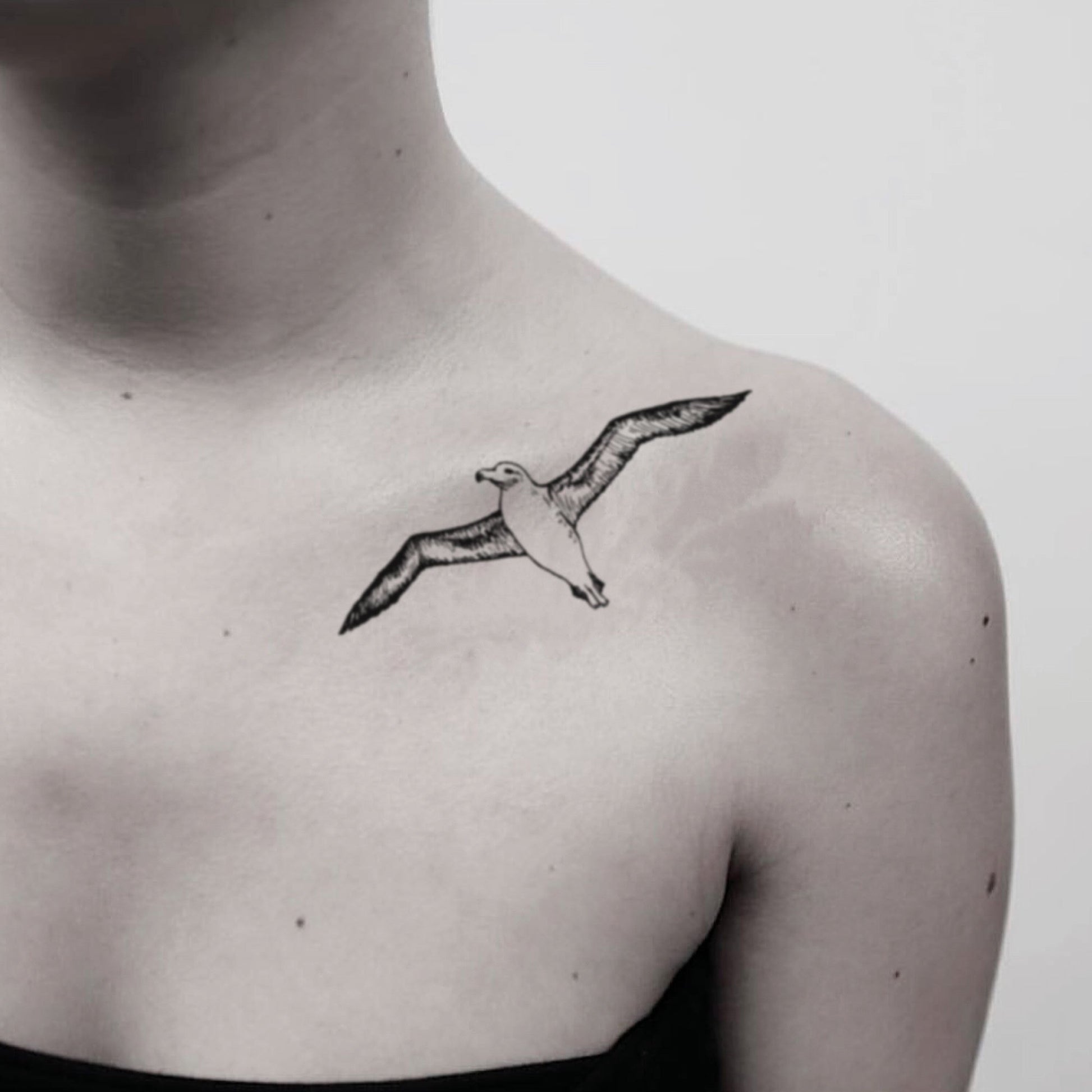 fake medium albatross animal temporary tattoo sticker design idea on shoulder
