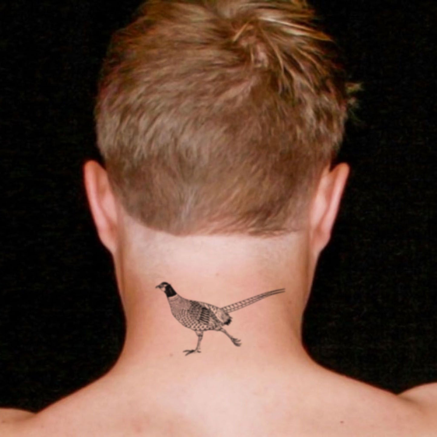 fake medium pheasant bird animal temporary tattoo sticker design idea on neck