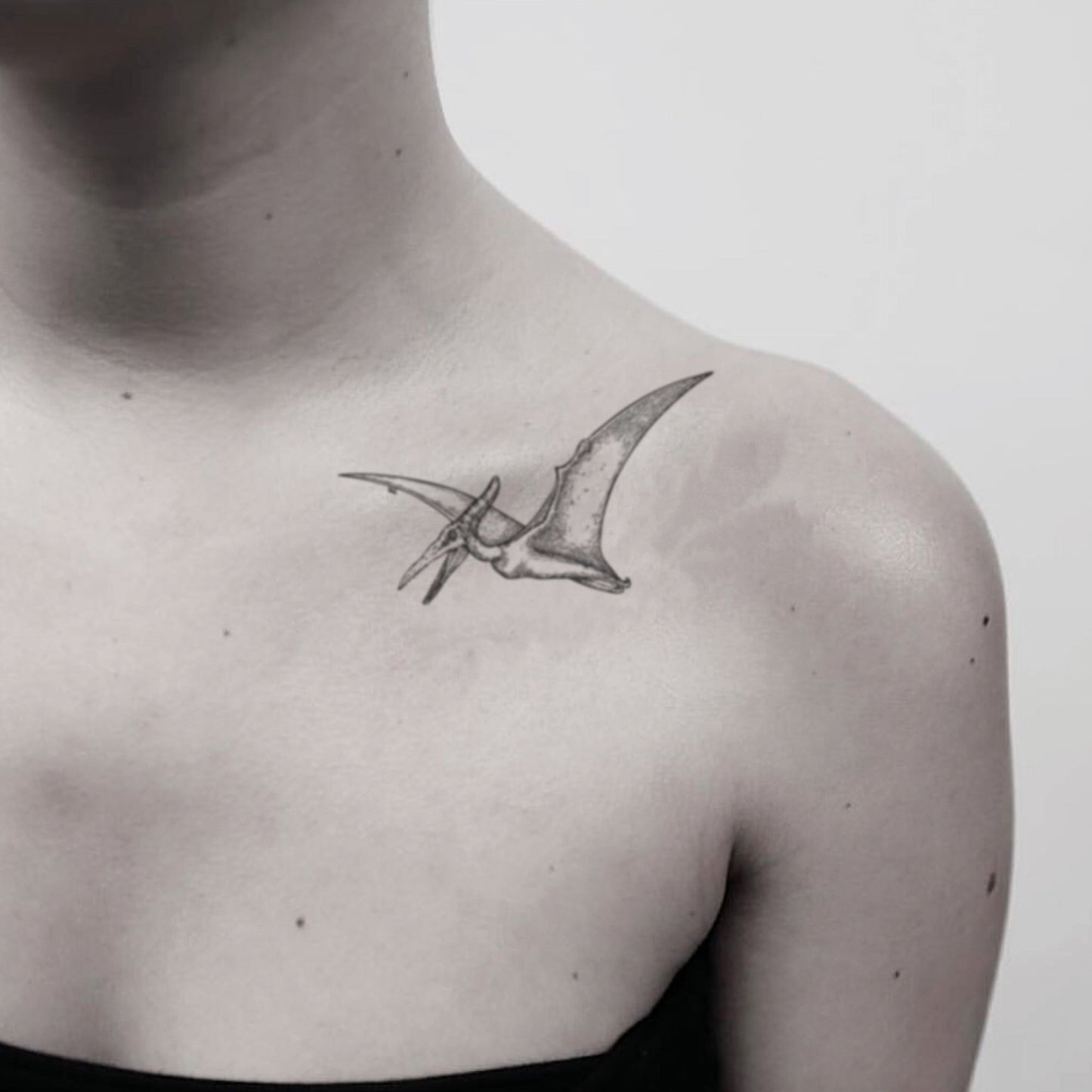 fake medium pterodactyl dinosaur animal temporary tattoo sticker design idea on shoulder