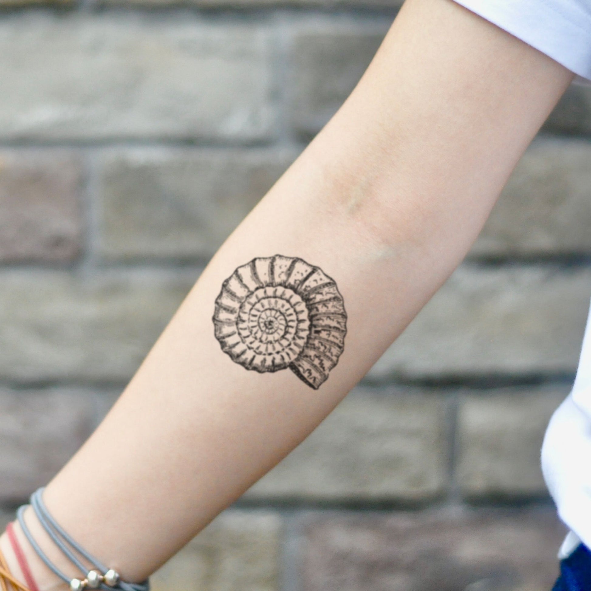 fake small ammonite fossil nature temporary tattoo sticker design idea on inner arm