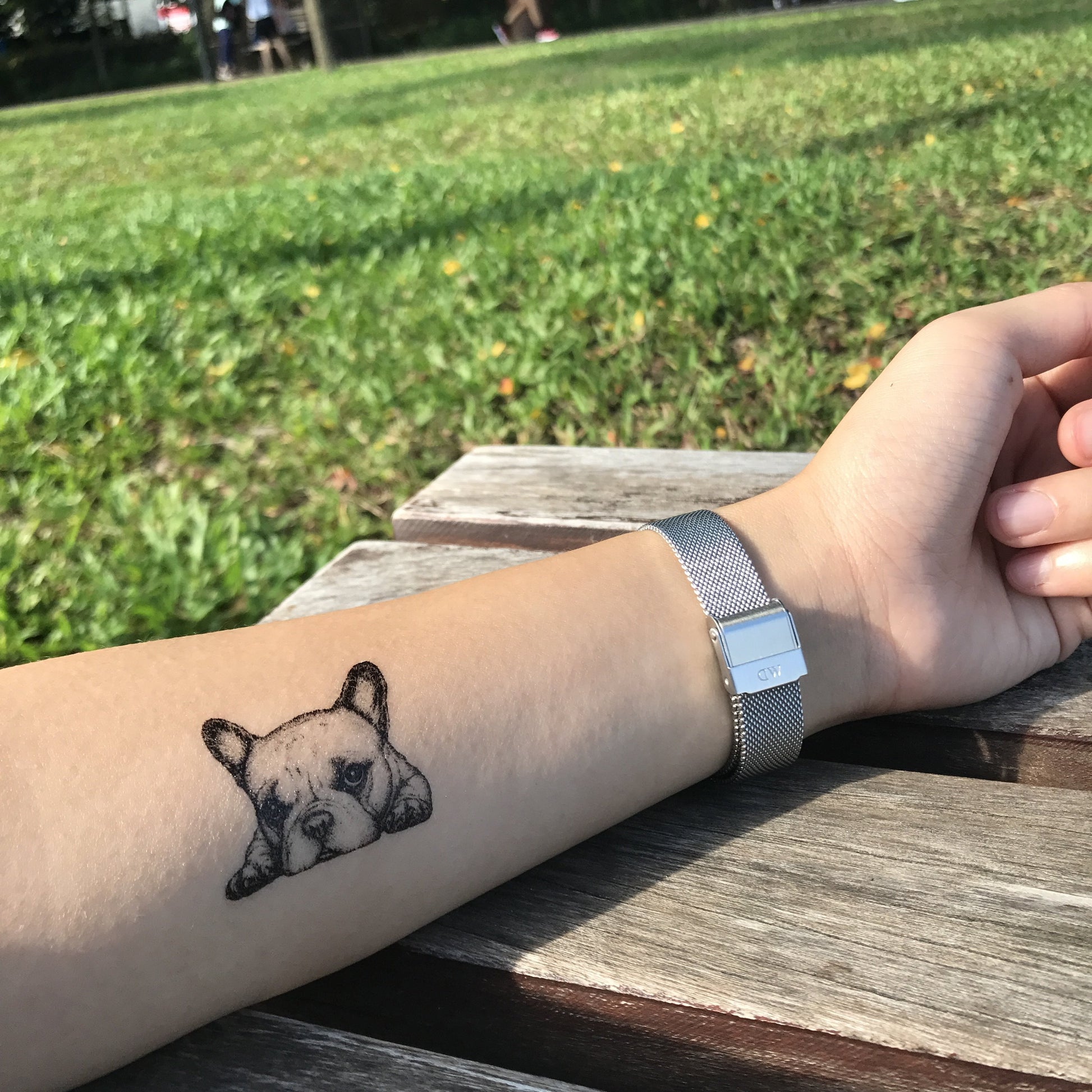 fake small french bulldog frenchie animal temporary tattoo sticker design idea on forearm