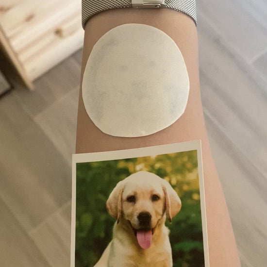 OhMyTat - fake small custom dog pet temporary tattoo sticker dashed dotted circle effect style design idea on wrist arm hand